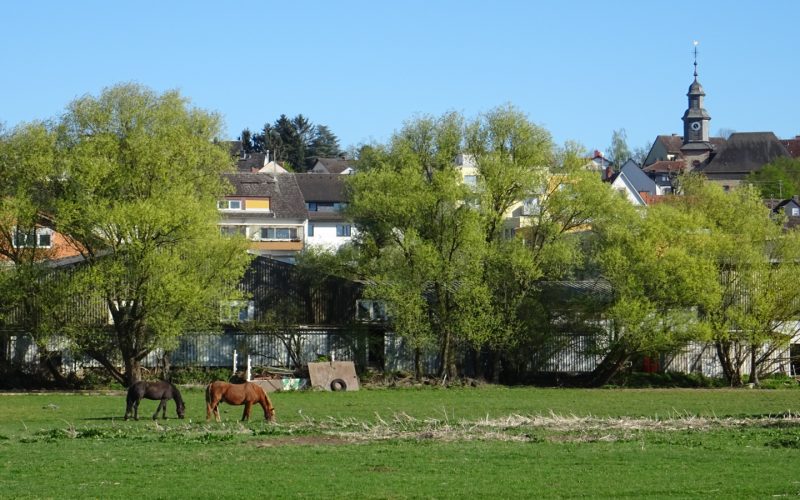 Berkersheim – Pferde, Wasser und Felder