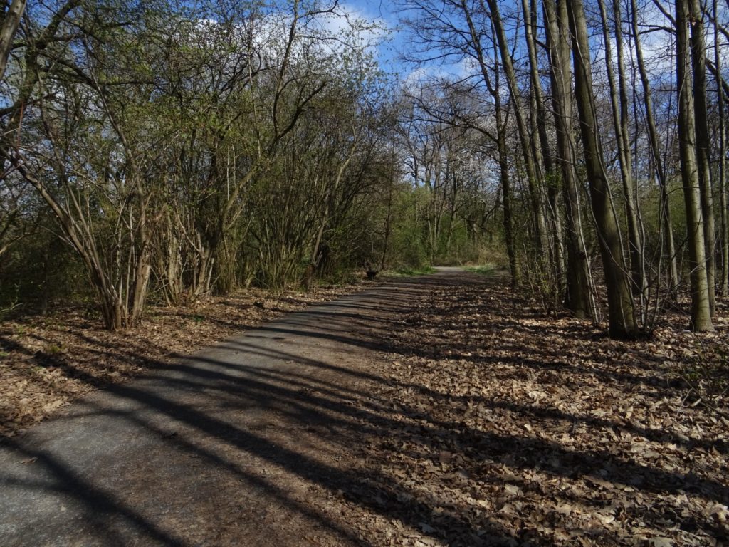 Grünes Frankfurt: Bergen-Enkheim