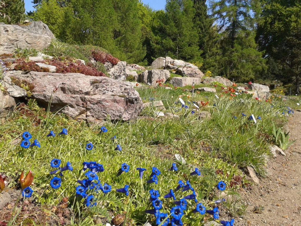 #BotanischerGarten