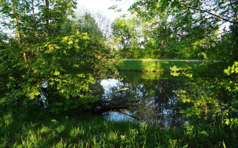 Grünes Frankfurt: Niederursel