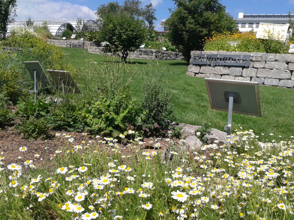 Führung im Wissenschaftsgarten