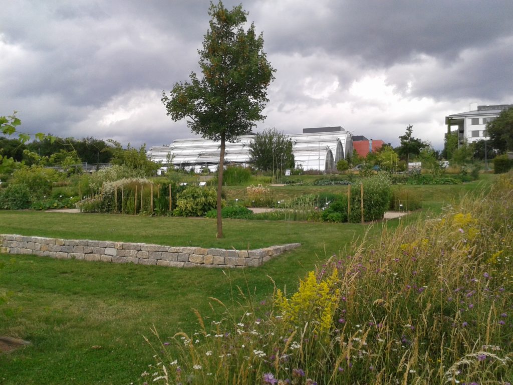 Führungen im Wissenschaftsgarten