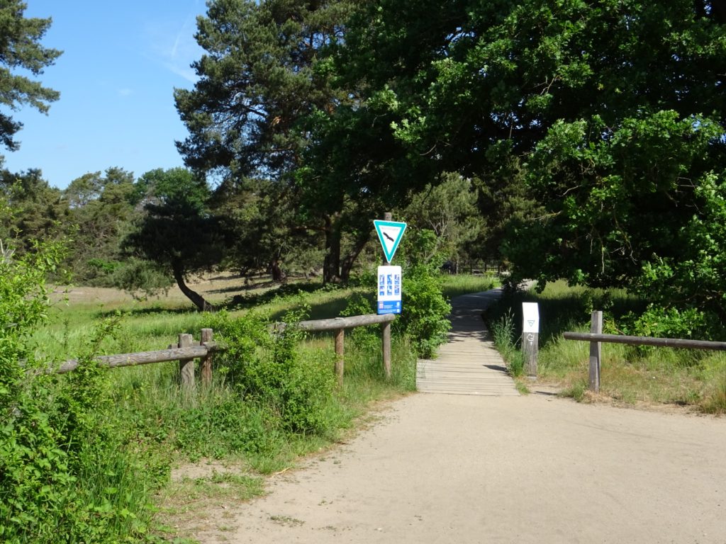 Pflegeeinsatz Schwanheimer Düne