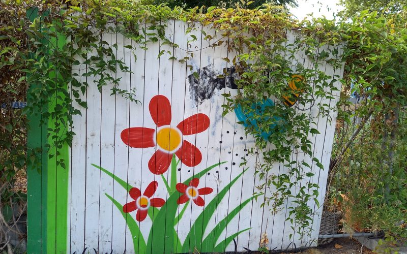 Urban Gardening im Ostend