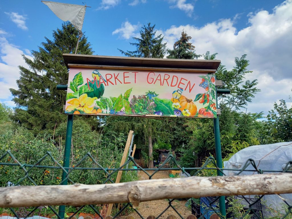 Urban Gardening, Market Garden, GemüseheldInnen Frankfurt/ Foto: Karola Neder