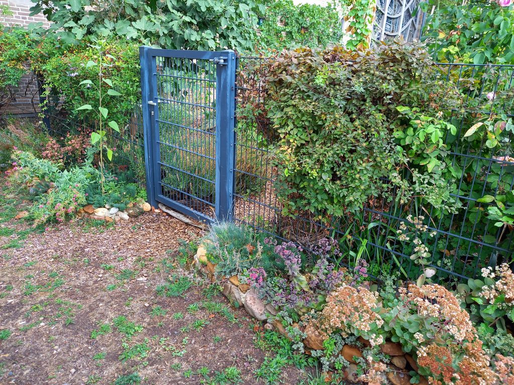 Urban Gardening im Kirchgarten der Wartburggemeinde