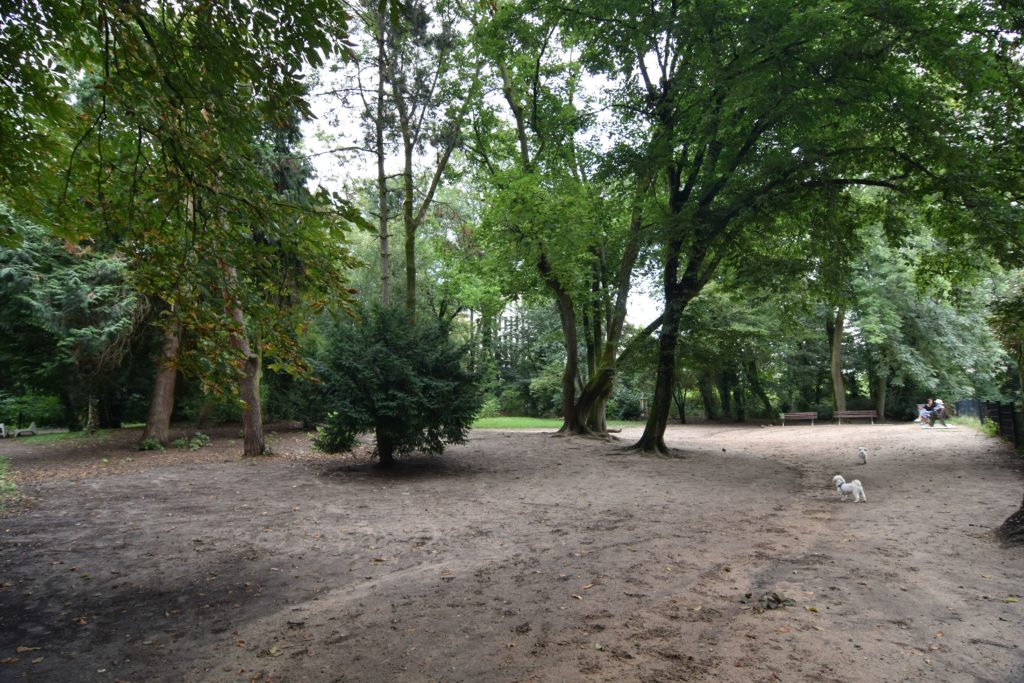 #Hunde #Grüneburgpark #Tiere #Hundewiese #Hundepark