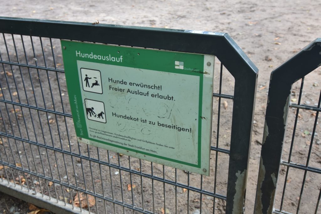 #Hunde #Grüneburgpark #Tiere #Hundewiese #Hundepark