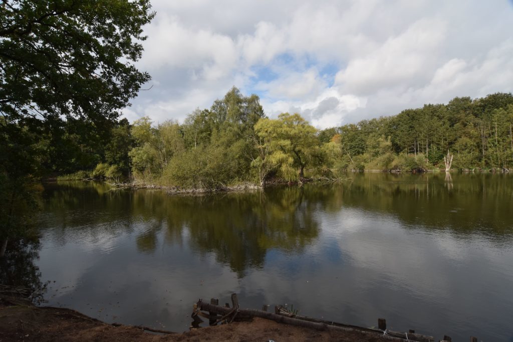 #Tiere #Hunde #Hundewiese #Hundepark #Fechenheimer-Weiher